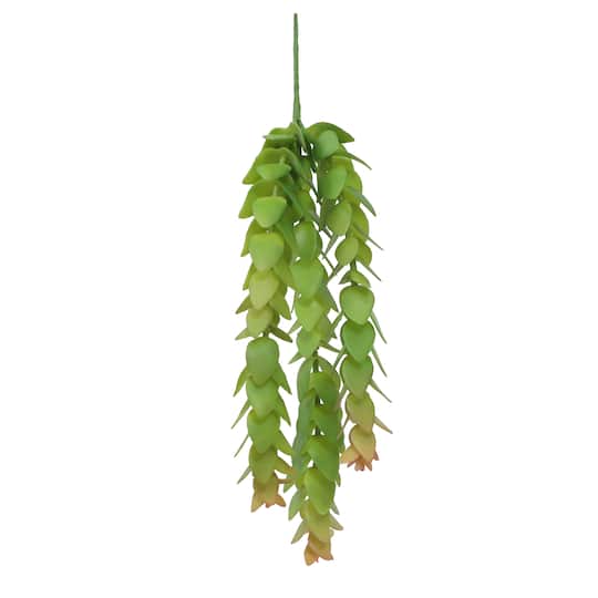 Michaels, 9.5" Green Hanging Jade Plant Pick by Ashland® – Category: Picks